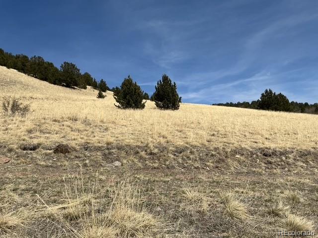 00 Rhyolite Mountain Mesa Cripple Creek CO 80813