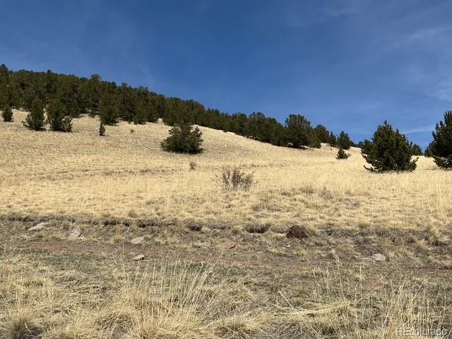 00 Rhyolite Mountain Mesa Cripple Creek CO 80813