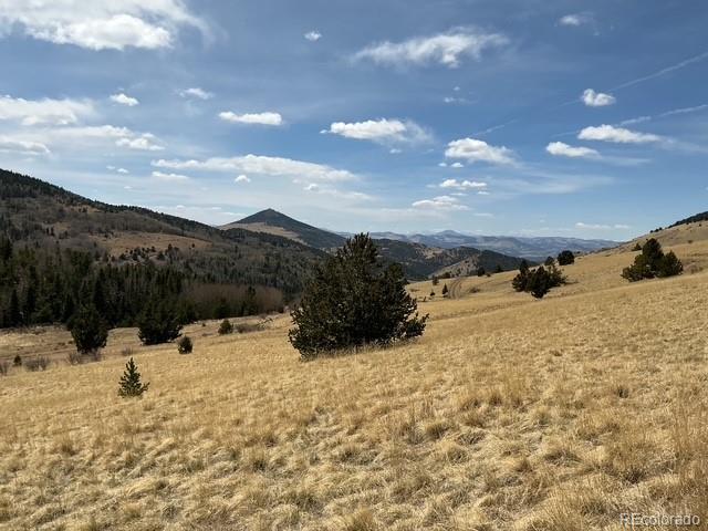 00 Rhyolite Mountain Mesa Cripple Creek CO 80813