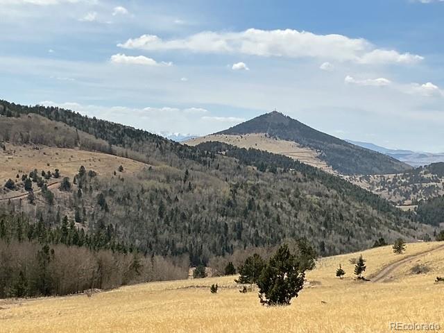00 Rhyolite Mountain Mesa Cripple Creek CO 80813