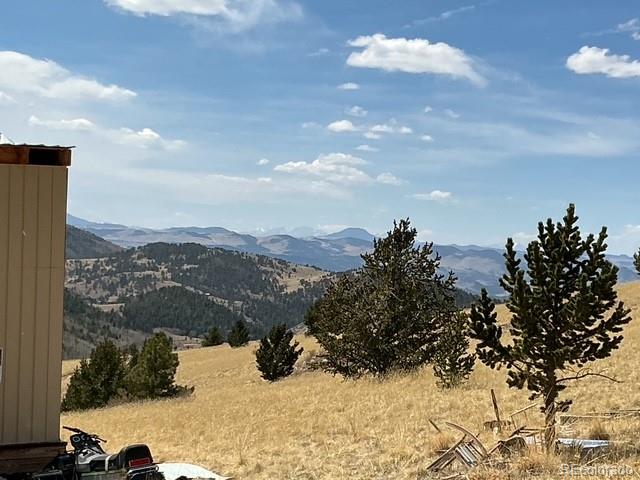 00 Rhyolite Mountain Mesa Cripple Creek CO 80813