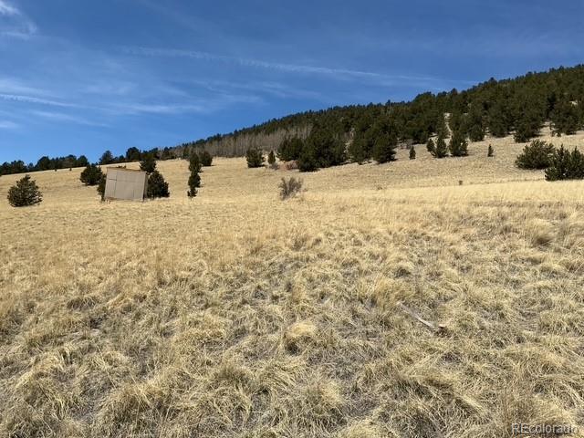 00 Rhyolite Mountain Mesa Cripple Creek CO 80813