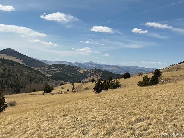 00 Rhyolite Mountain Mesa Cripple Creek CO 80813