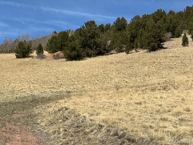 00 Rhyolite Mountain Mesa Cripple Creek CO 80813