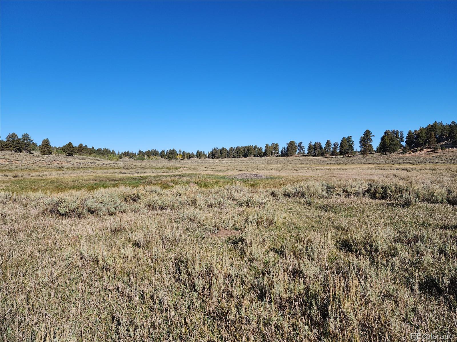 000 Divide (Louie Pasture) Road Whitewater CO 81527