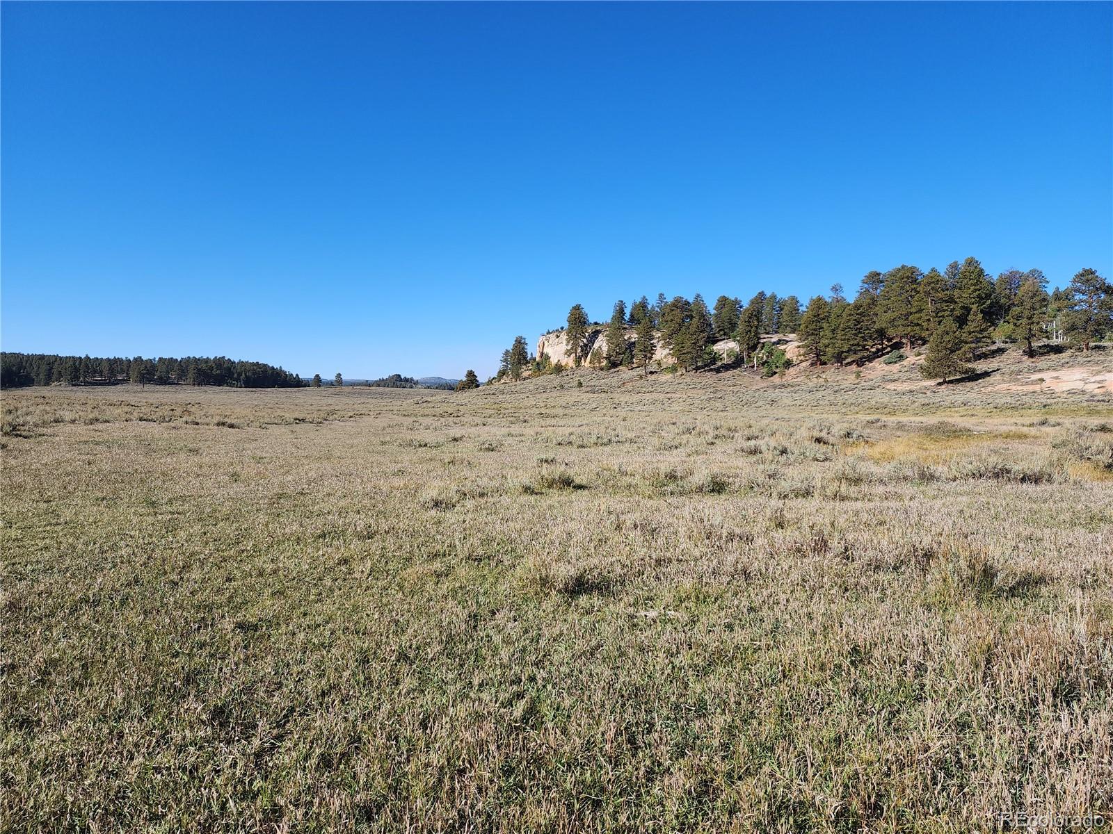 000 Divide (Louie Pasture) Road Whitewater CO 81527