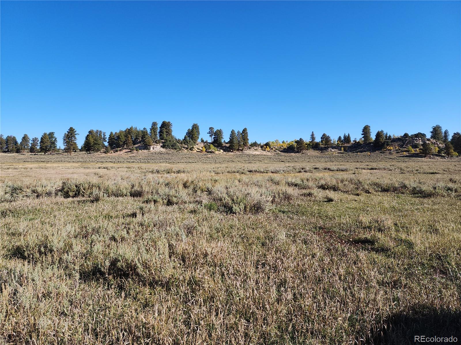 000 Divide (Louie Pasture) Road Whitewater CO 81527