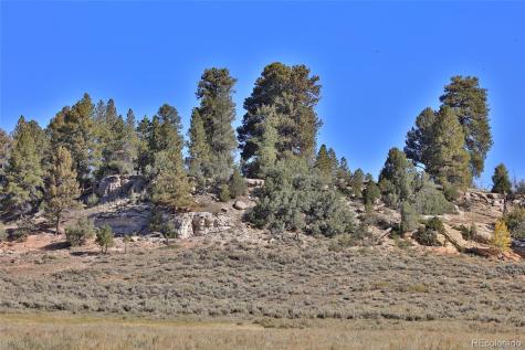 000 Divide (Louie Pasture) Road Whitewater CO 81527