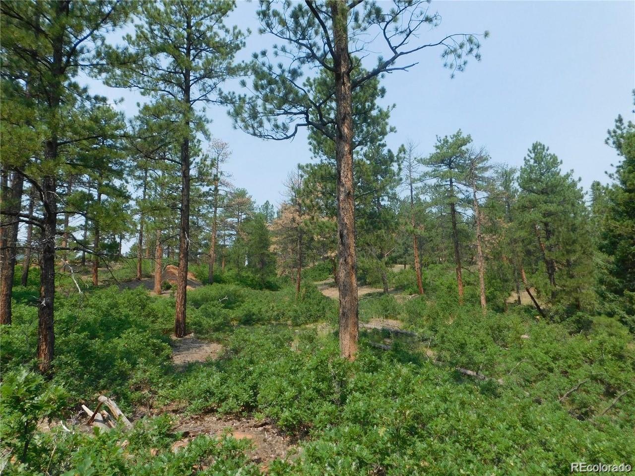 4356 Elati Road Larkspur CO 80118