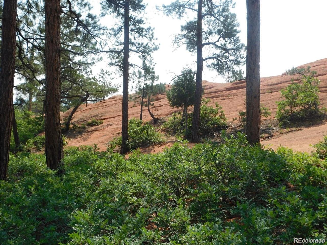 4356 Elati Road Larkspur CO 80118