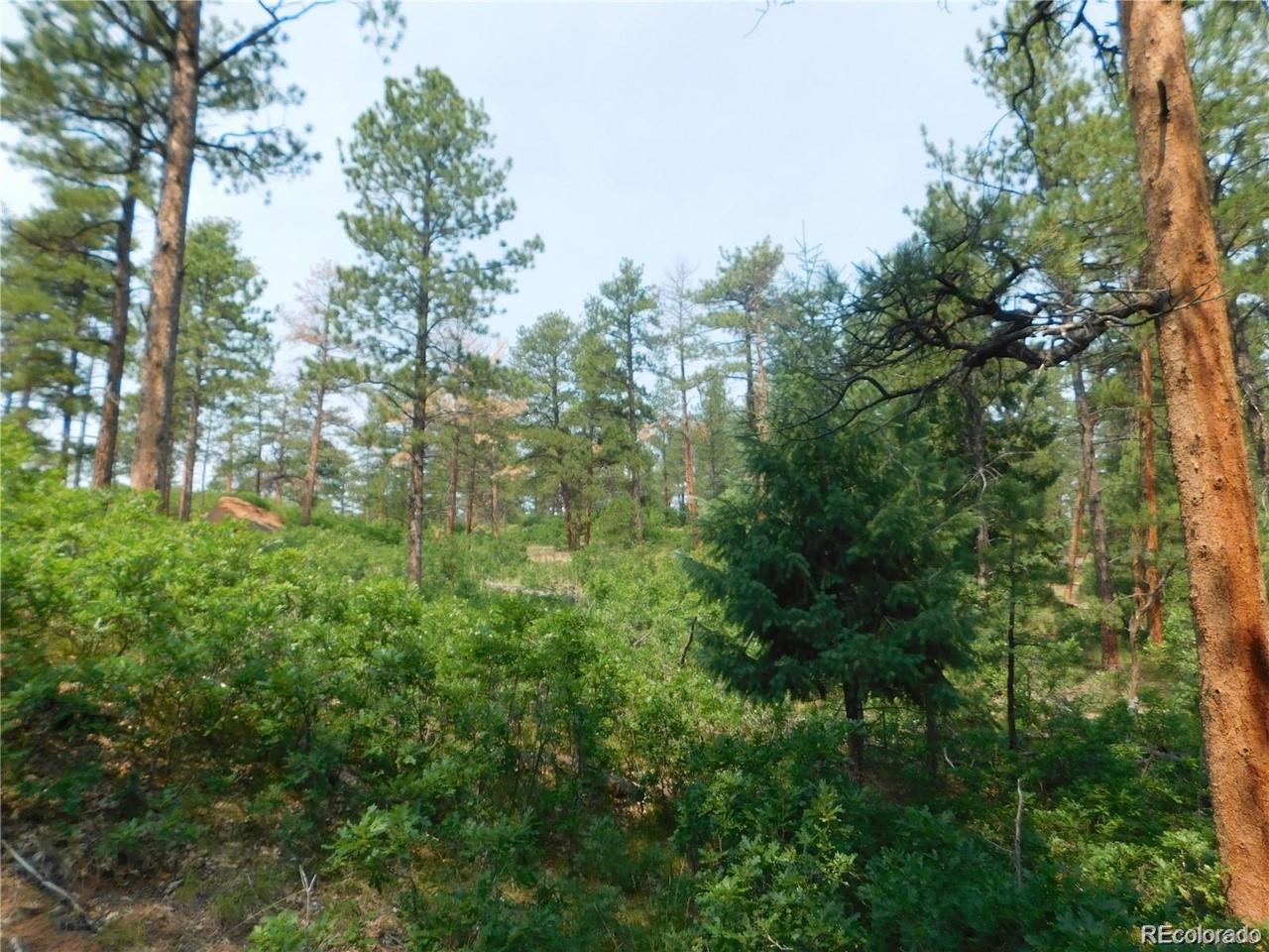 4356 Elati Road Larkspur CO 80118