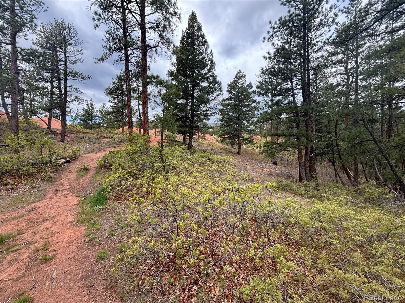 4356 Elati Road Larkspur CO 80118