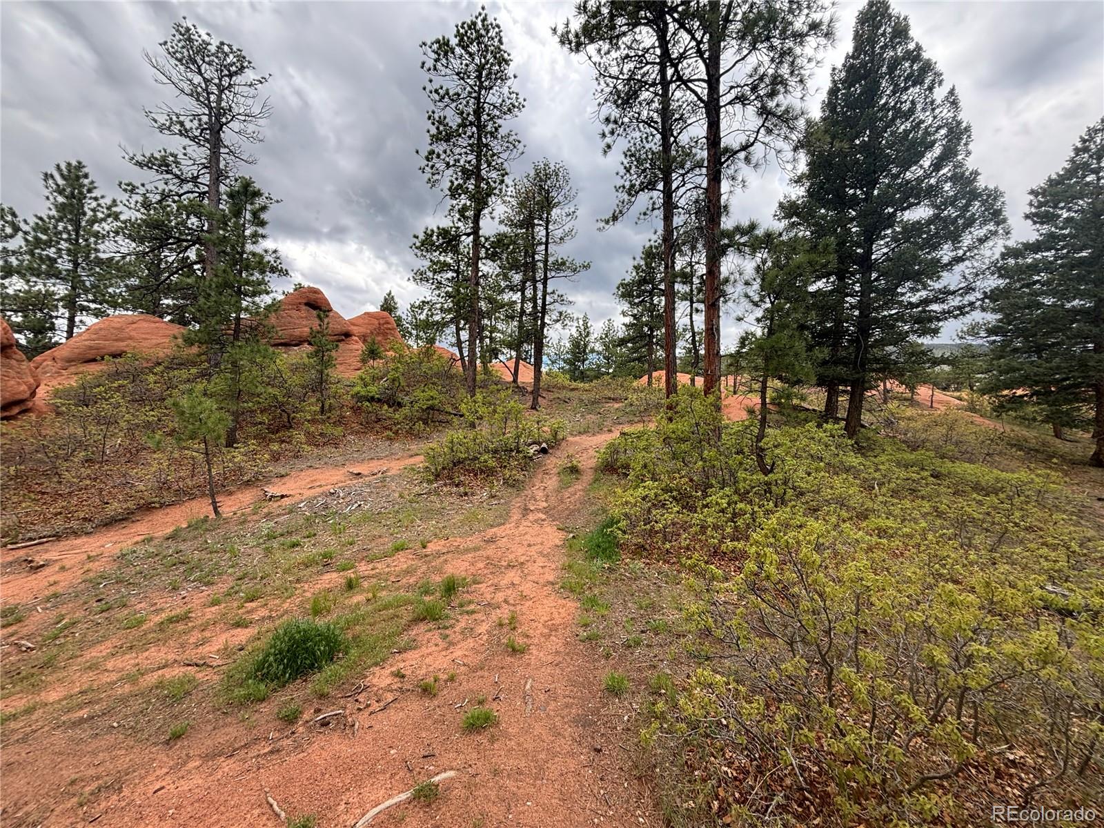 4356 Elati Road Larkspur CO 80118