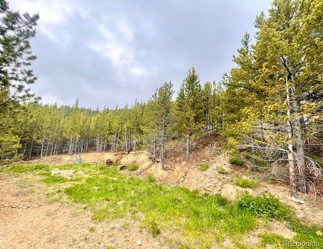 000 Alice Road Idaho Springs CO 80452