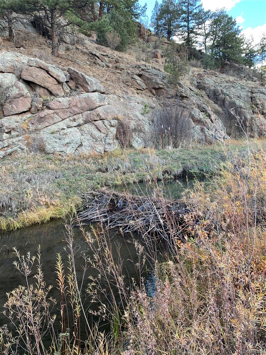 1840 Lakemoor Drive Florissant CO 80816
