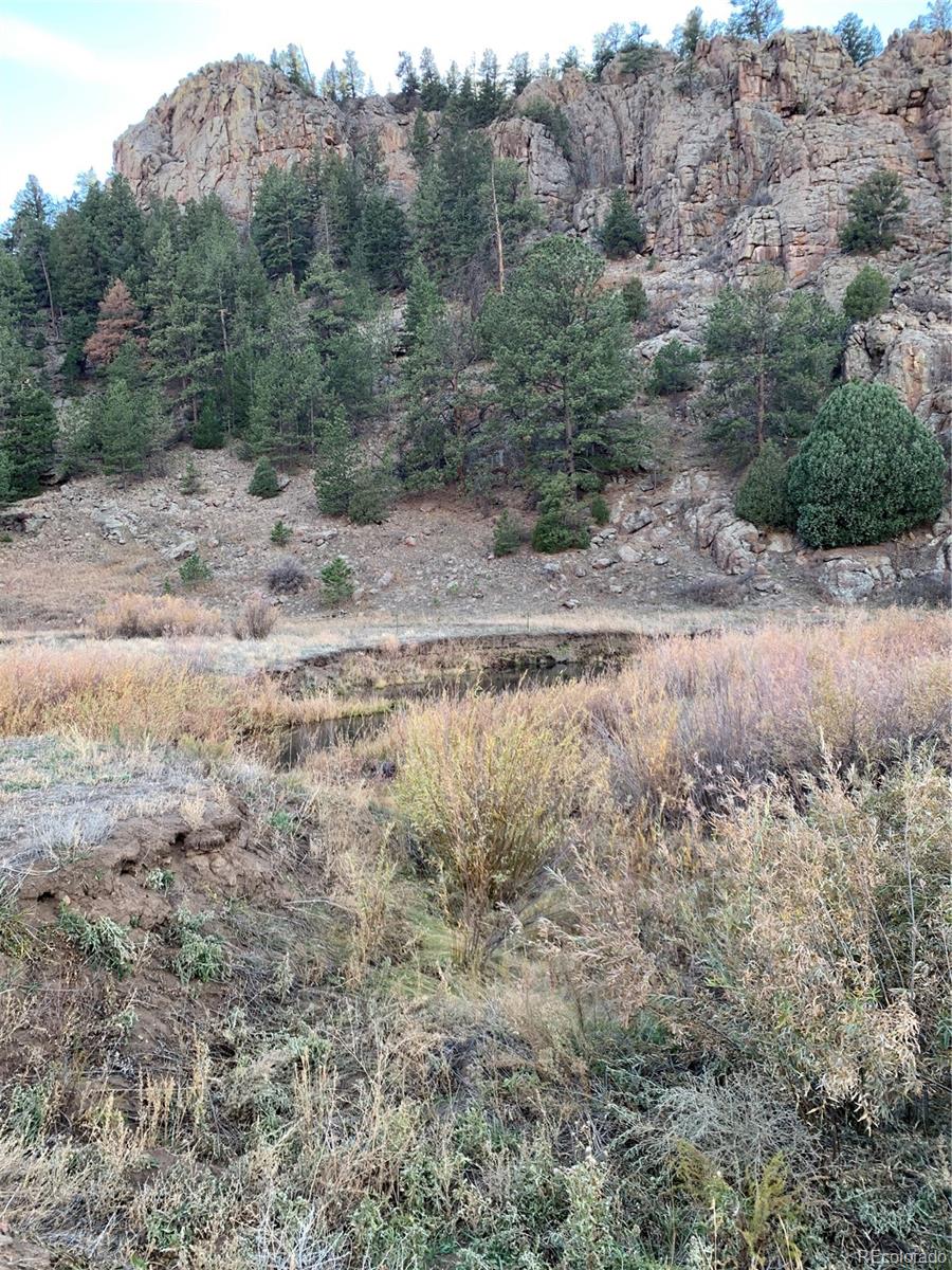 1840 Lakemoor Drive Florissant CO 80816