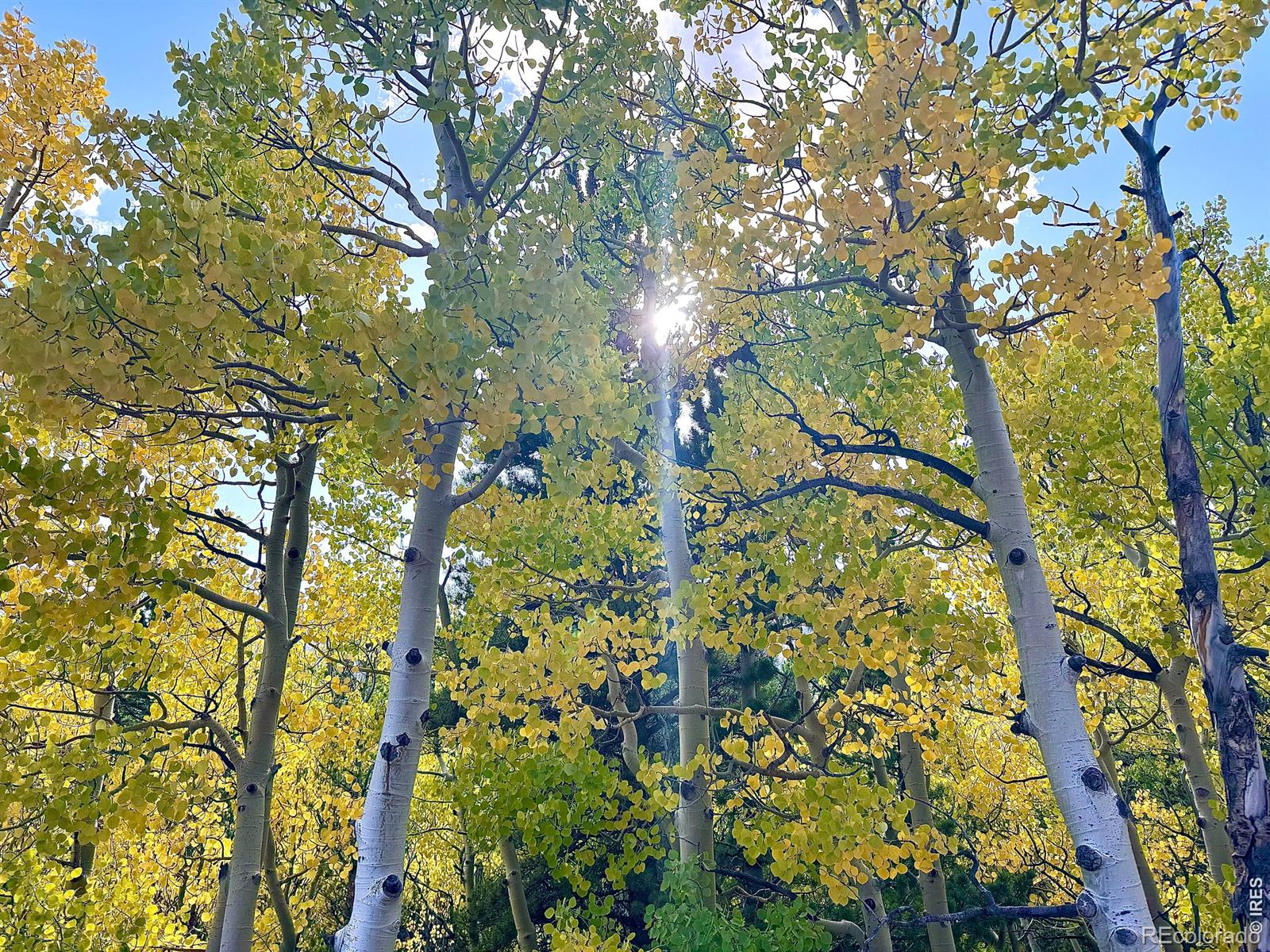 49 Pine Drive Lyons CO 80540