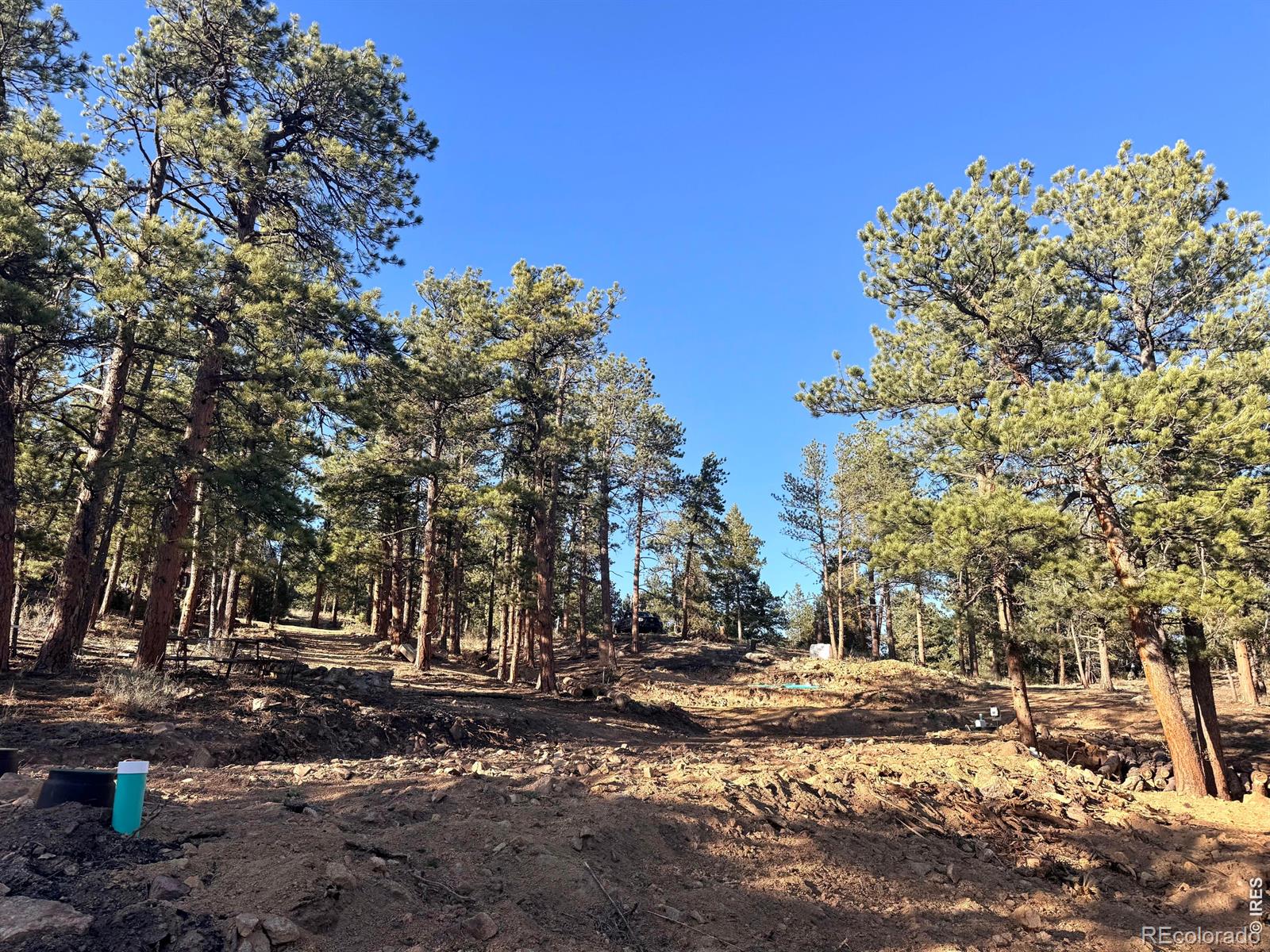 49 Pine Drive Lyons CO 80540