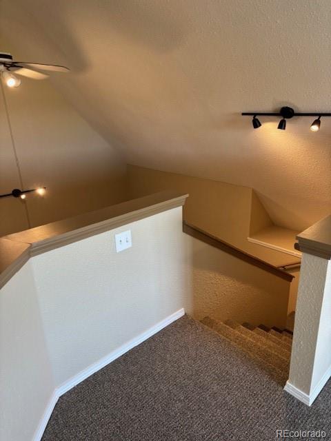 6646 E State Highway 86 Franktown CO 80116