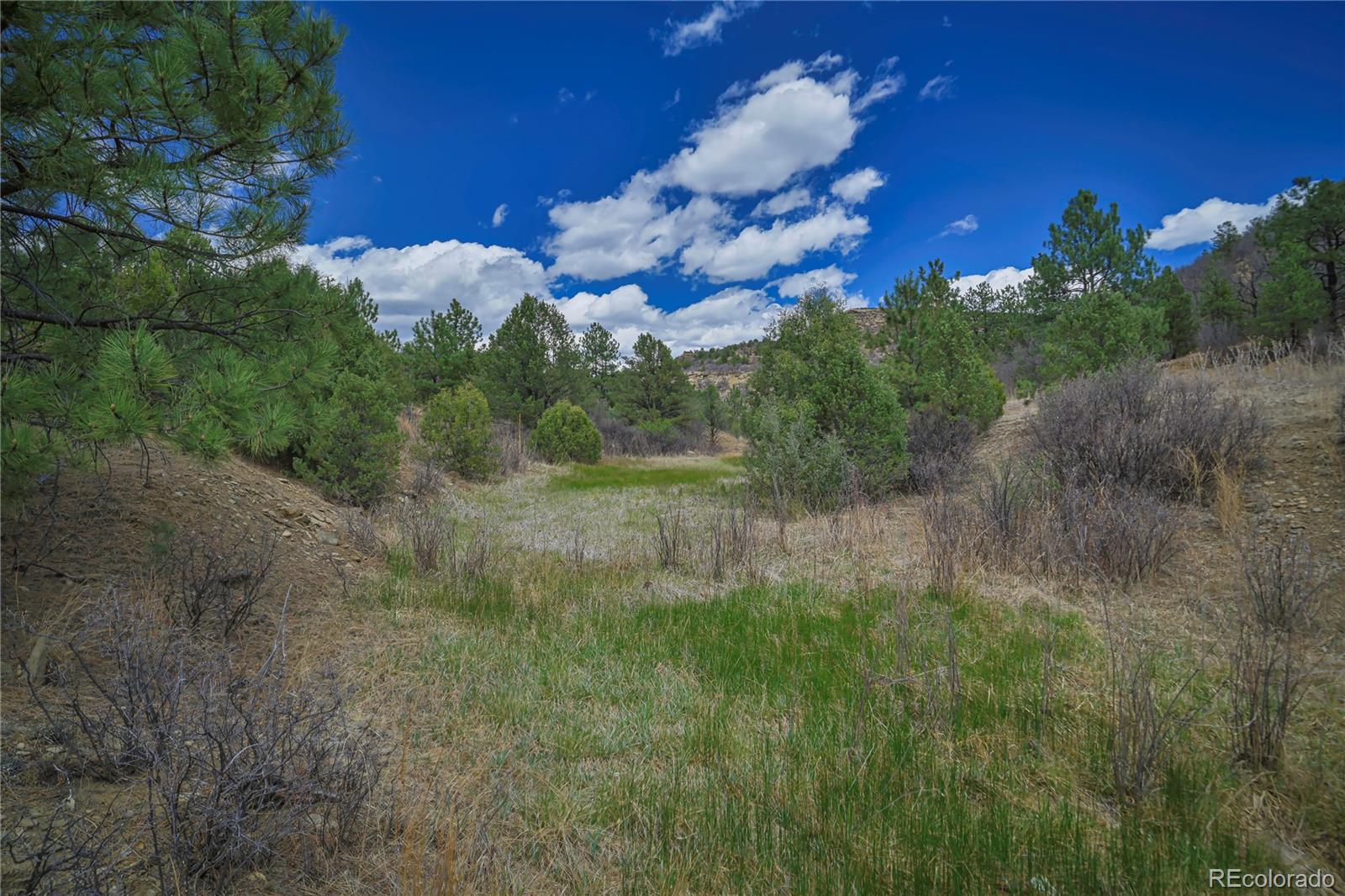 Primero Ranch Lot 45 Weston CO 81091