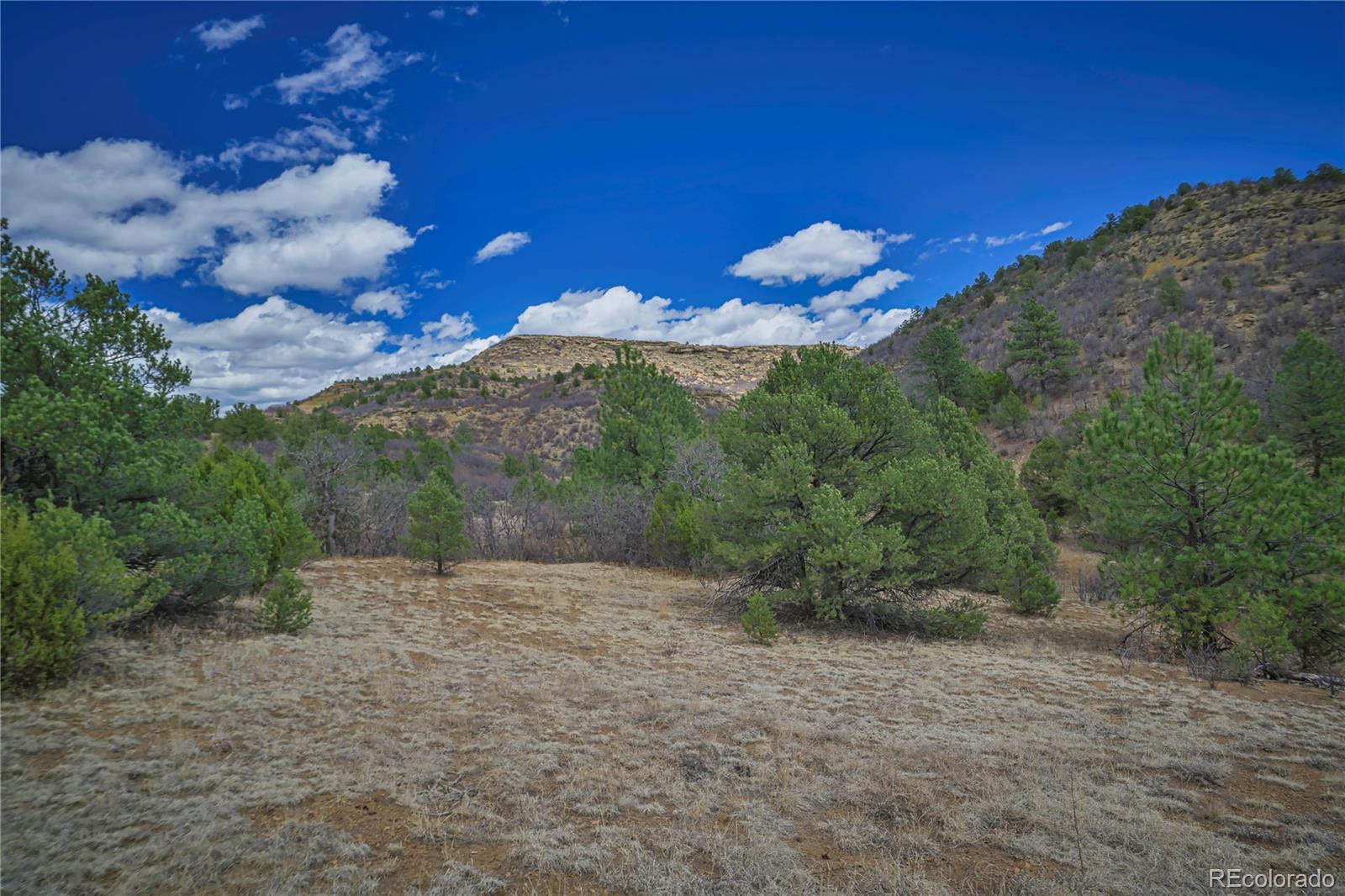 Primero Ranch Lot 45 Weston CO 81091
