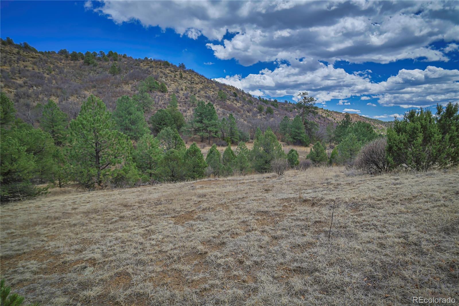 Primero Ranch Lot 45 Weston CO 81091