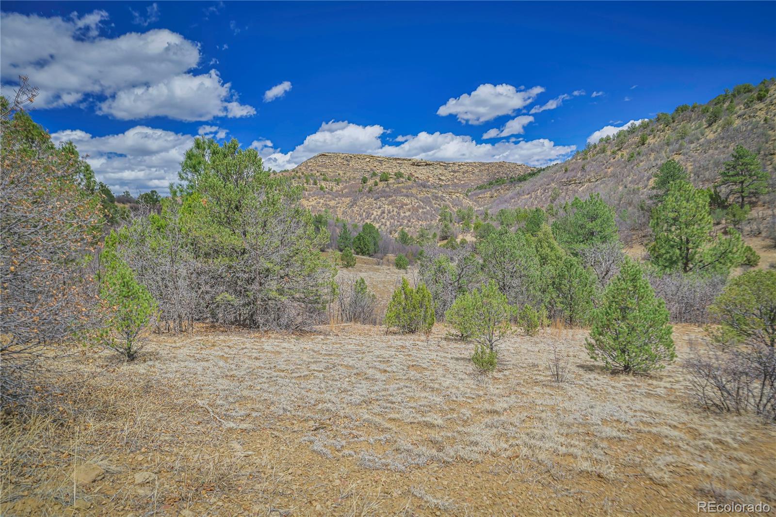 Primero Ranch Lot 45 Weston CO 81091