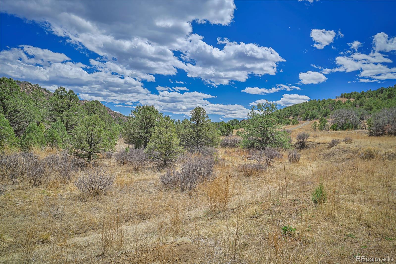 Primero Ranch Lot 45 Weston CO 81091