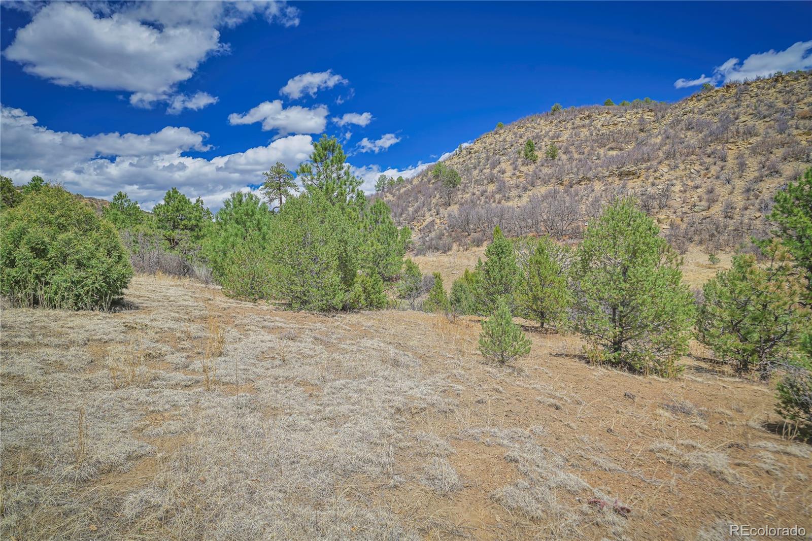 Primero Ranch Lot 45 Weston CO 81091