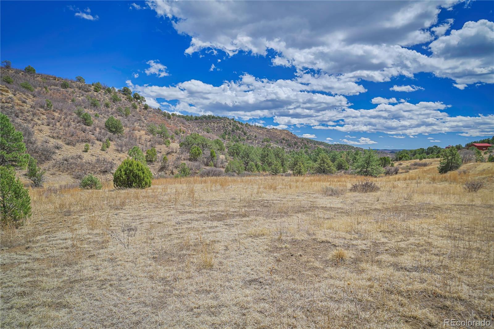 Primero Ranch Lot 45 Weston CO 81091