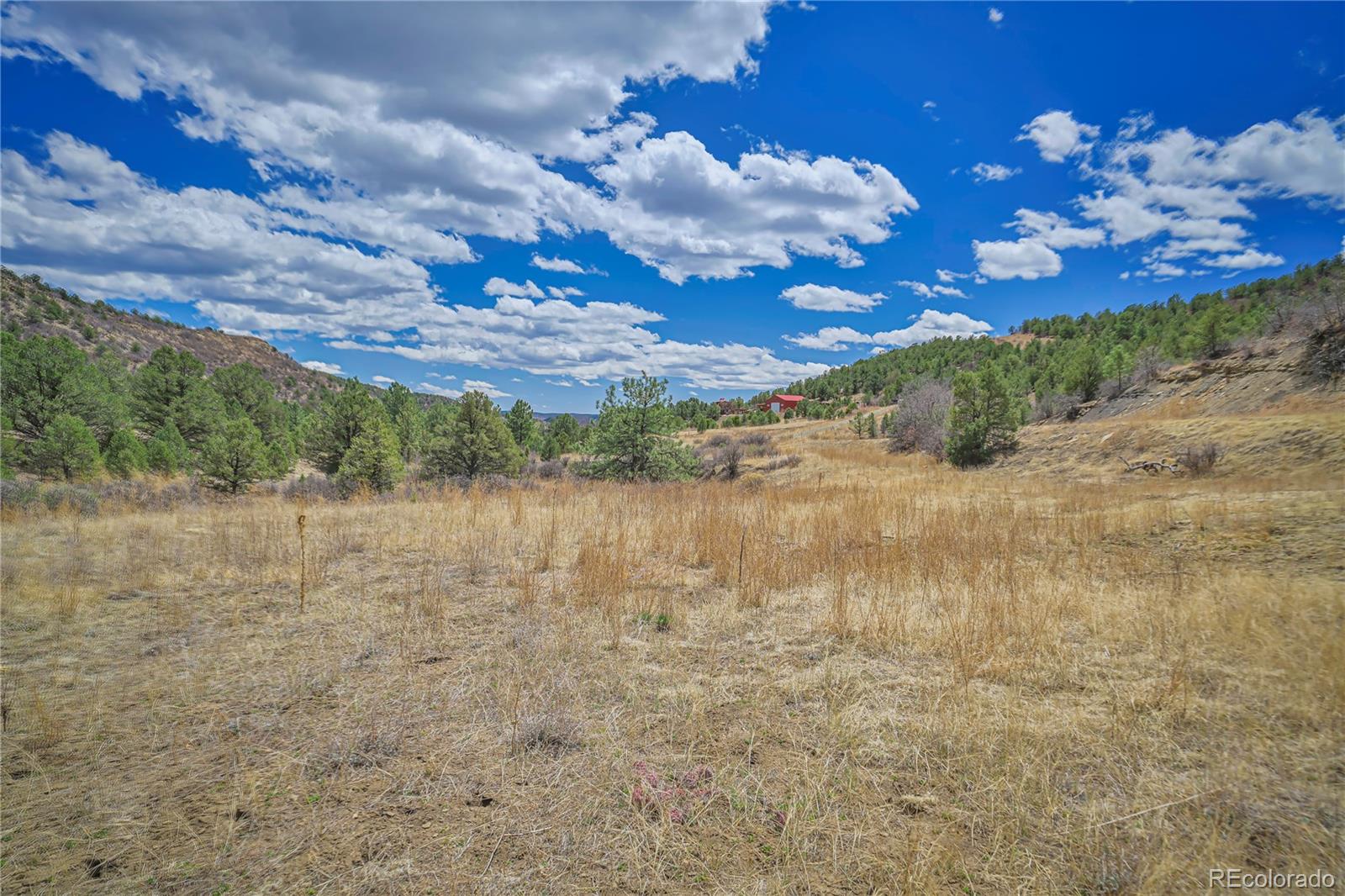Primero Ranch Lot 45 Weston CO 81091