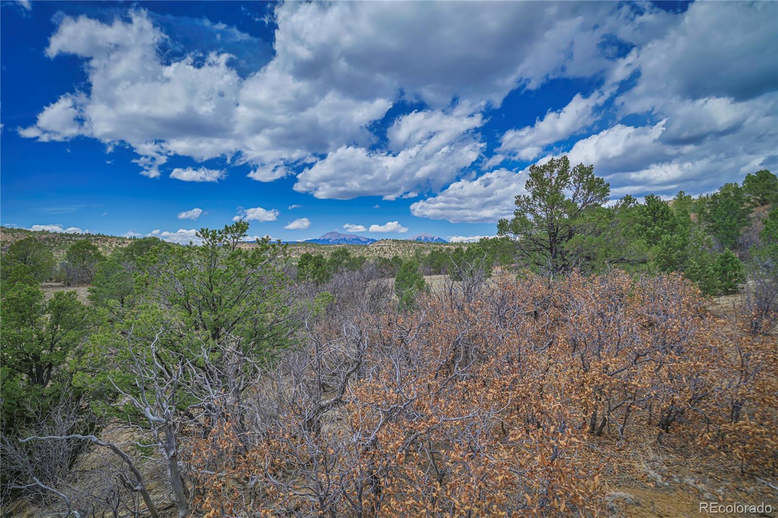 Primero Ranch Lot 45 Weston CO 81091