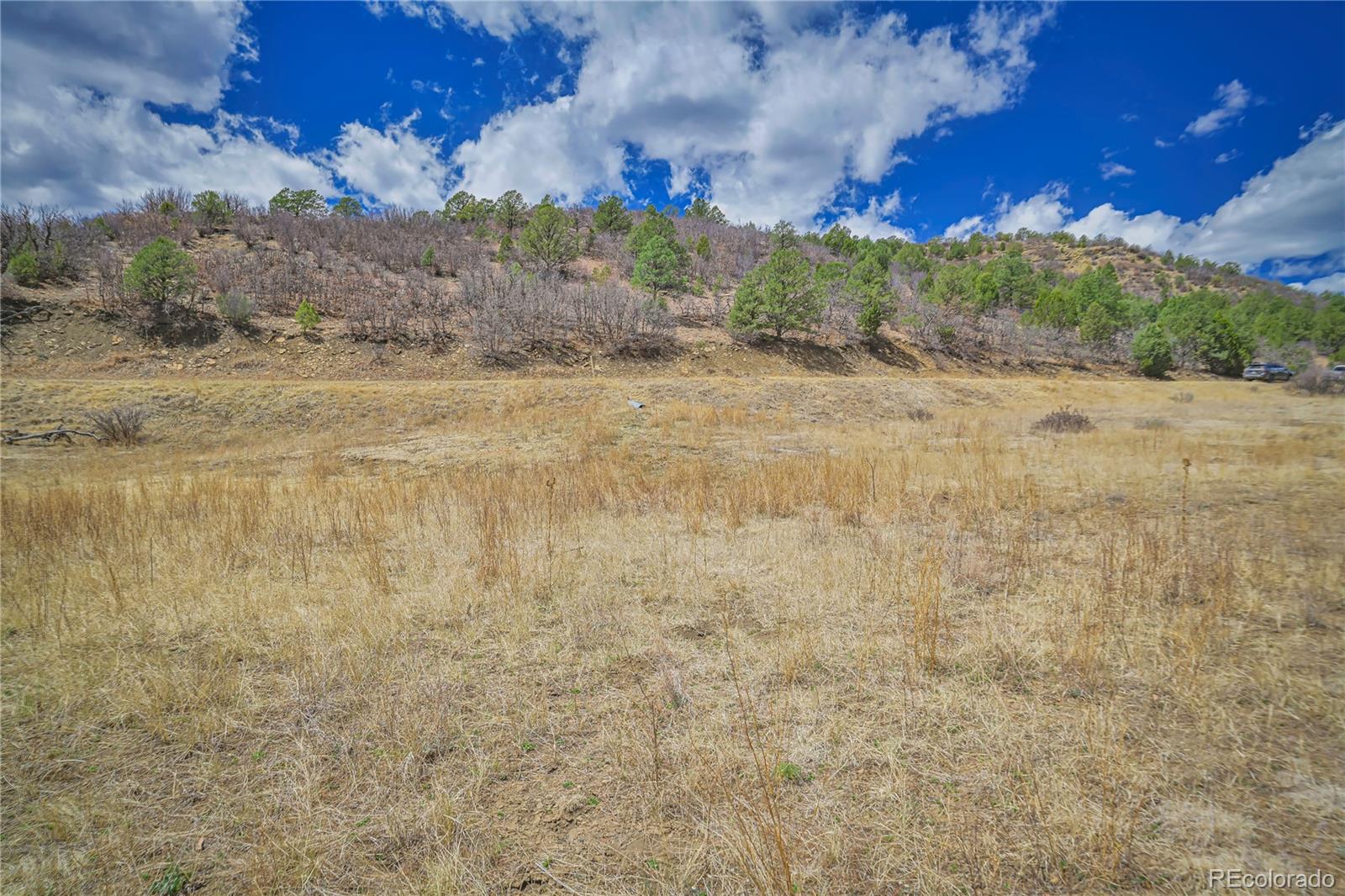 Primero Ranch Lot 45 Weston CO 81091