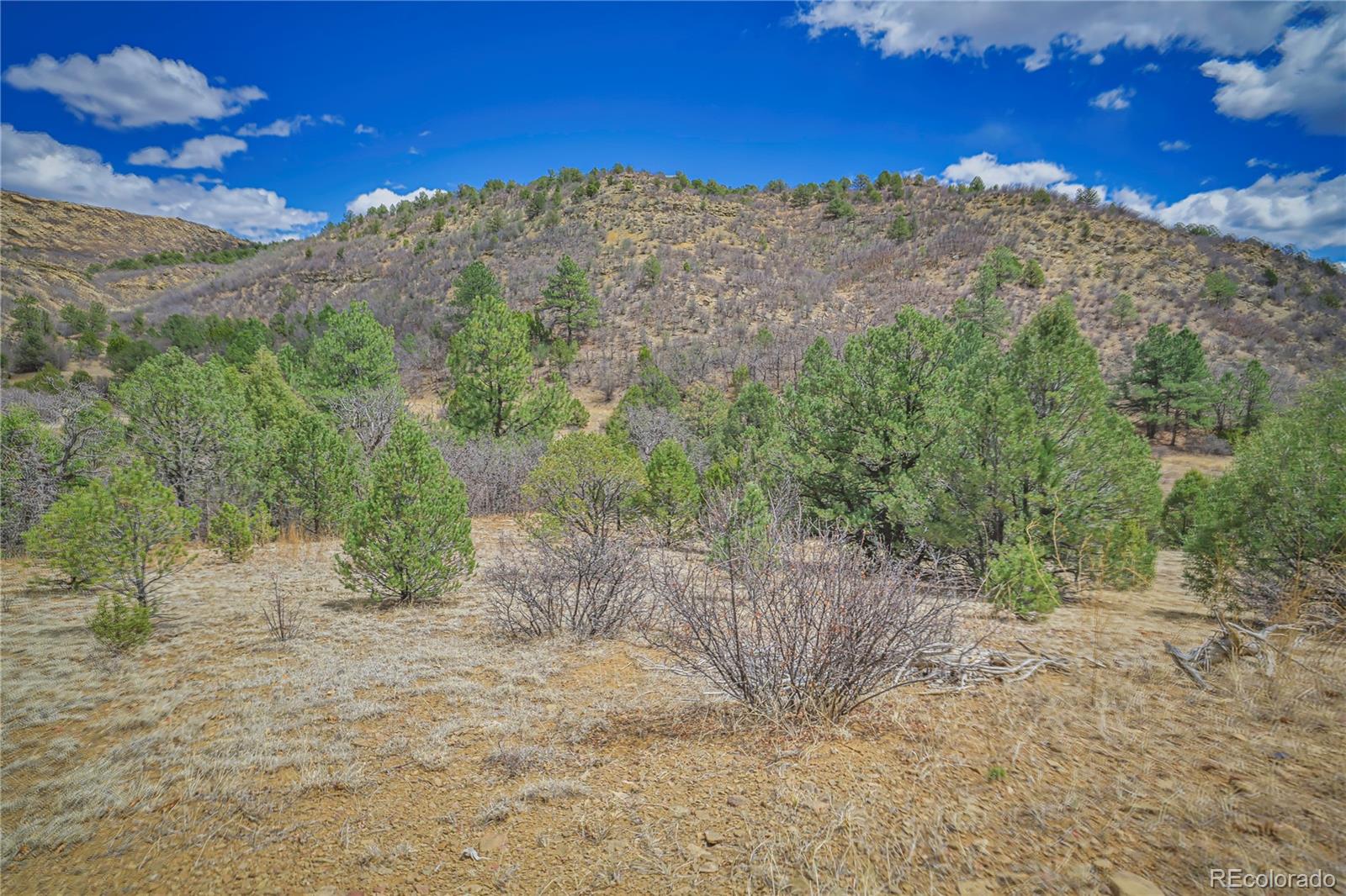 Primero Ranch Lot 45 Weston CO 81091