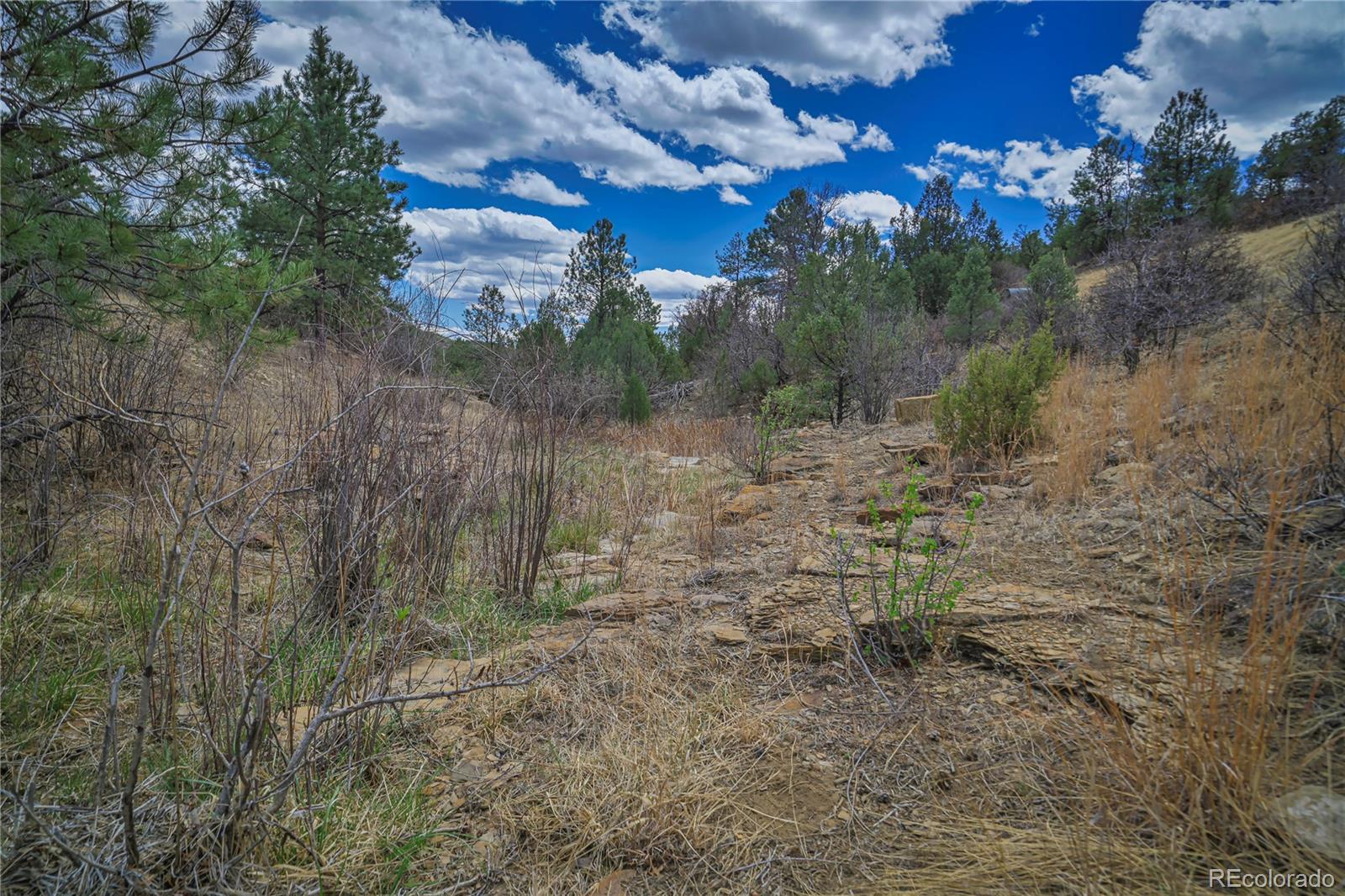 Primero Ranch Lot 45 Weston CO 81091