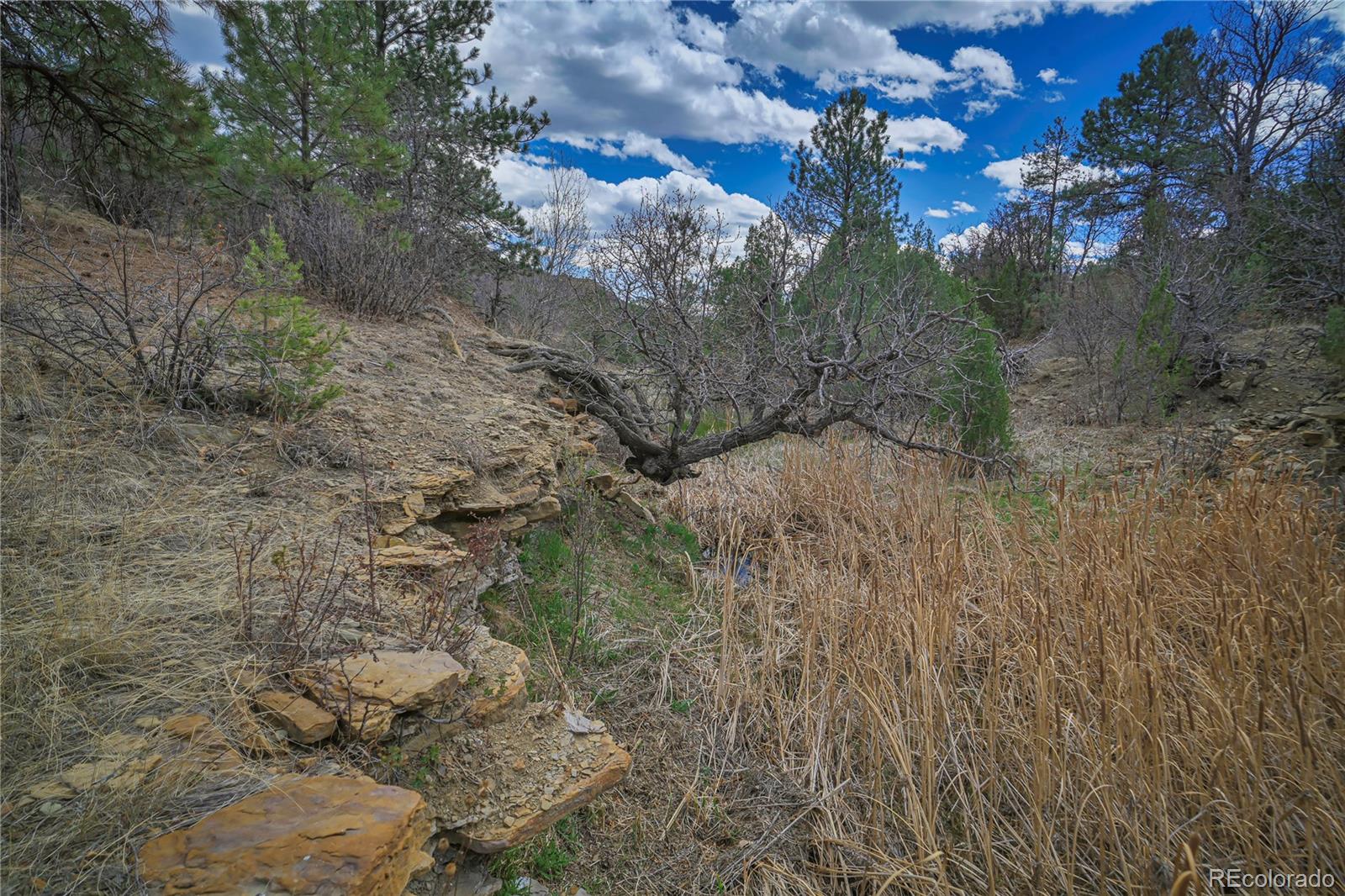 Primero Ranch Lot 45 Weston CO 81091