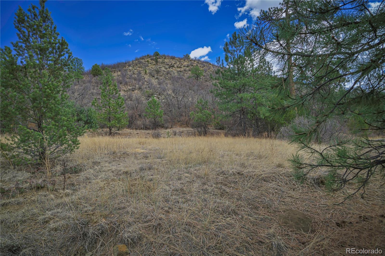 Primero Ranch Lot 45 Weston CO 81091