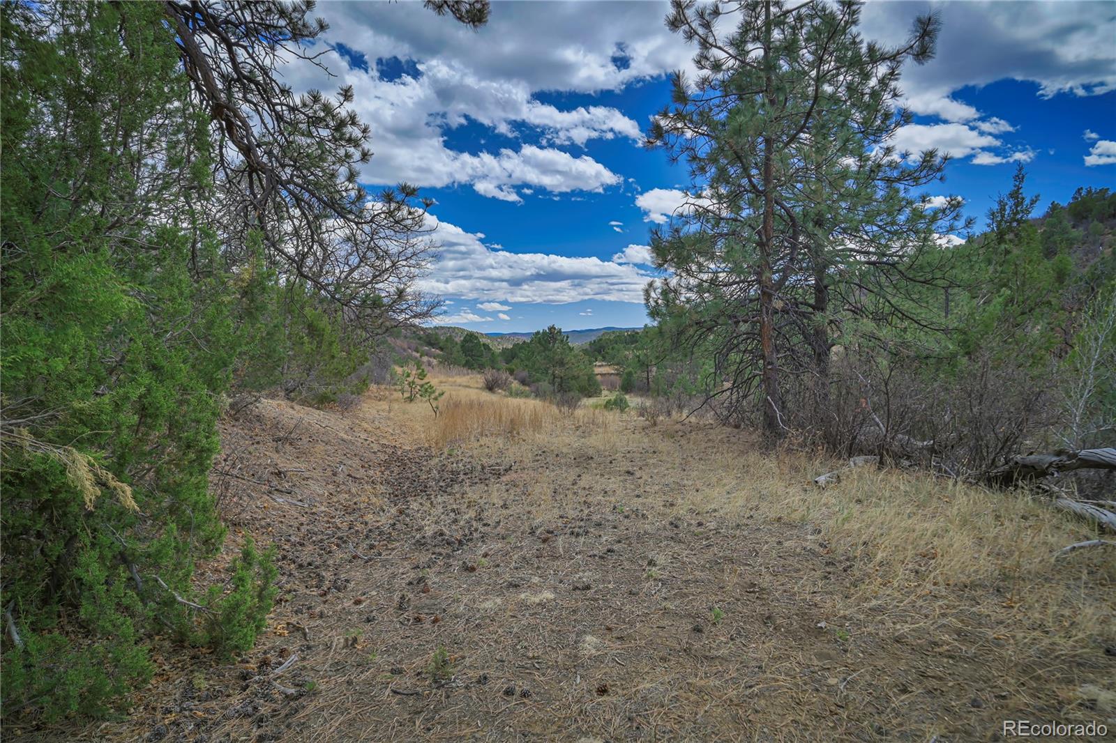 Primero Ranch Lot 45 Weston CO 81091