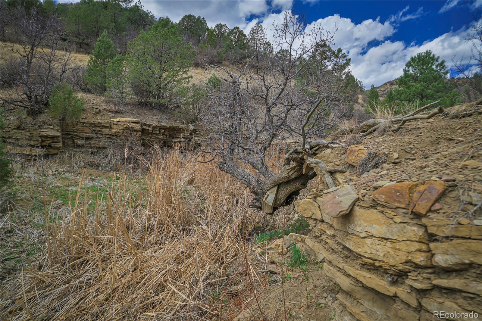 Primero Ranch Lot 45 Weston CO 81091