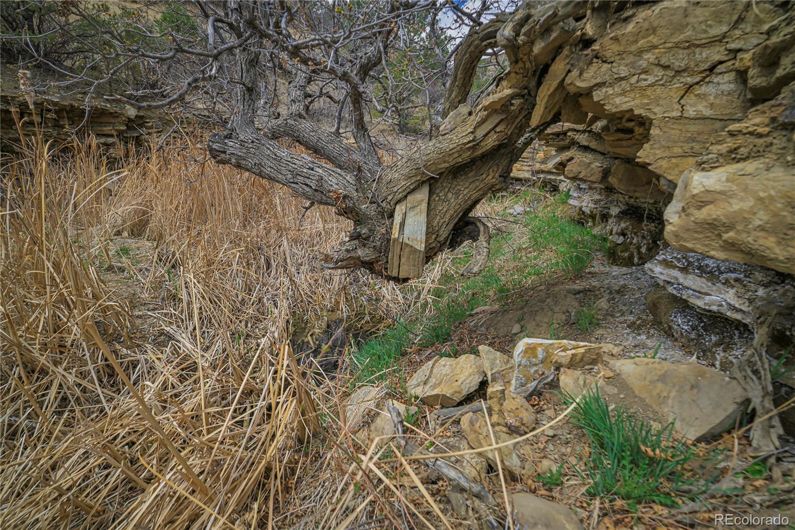 Primero Ranch Lot 45 Weston CO 81091