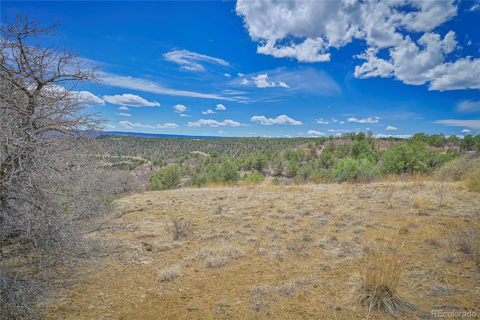 Primero Ranch Lot 45 Weston CO 81091