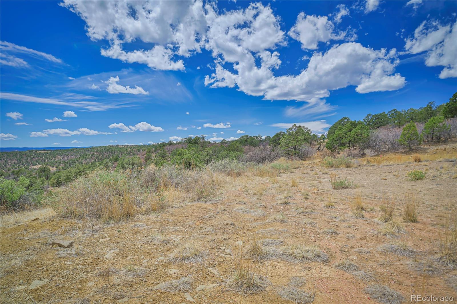 Primero Ranch Lot 45 Weston CO 81091