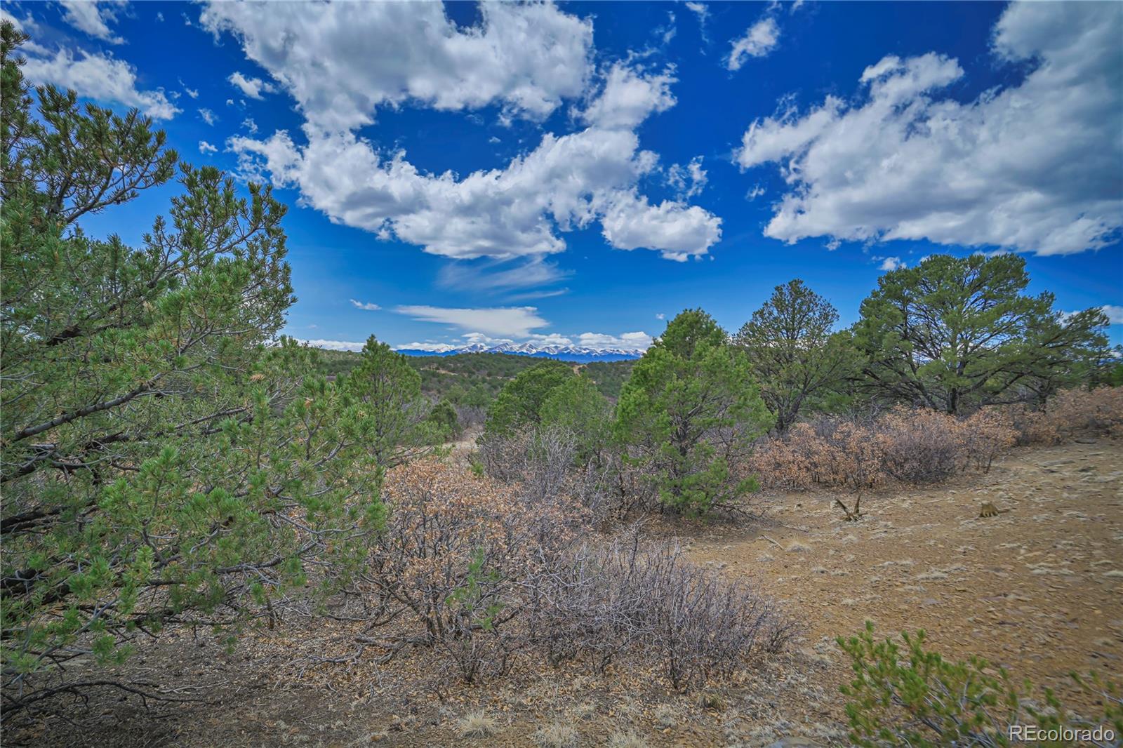 Primero Ranch Lot 45 Weston CO 81091