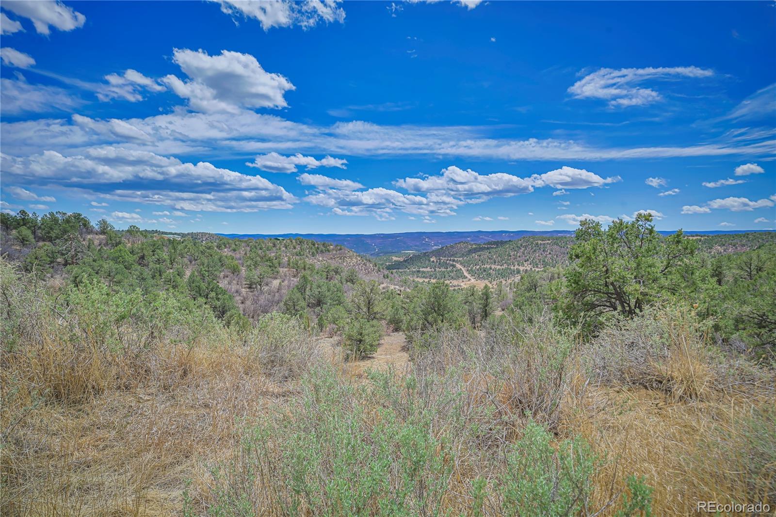 Primero Ranch Lot 45 Weston CO 81091