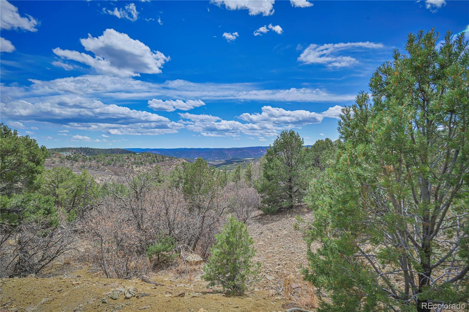 Primero Ranch Lot 45 Weston CO 81091