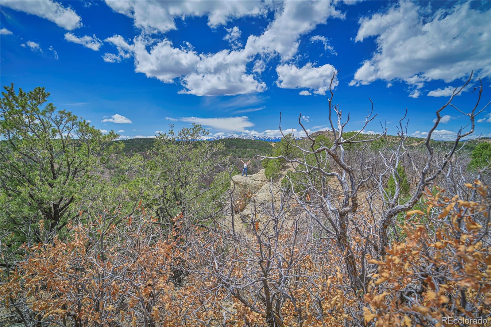 Primero Ranch Lot 45 Weston CO 81091