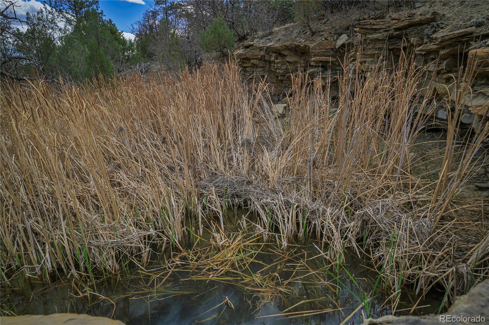 Primero Ranch Lot 45 Weston CO 81091
