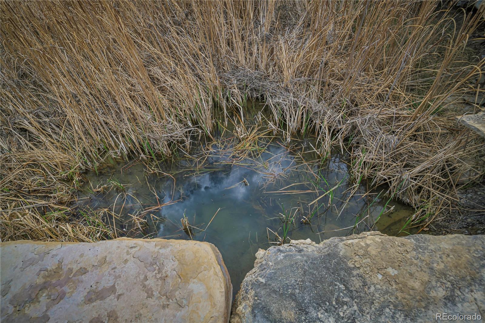 Primero Ranch Lot 45 Weston CO 81091
