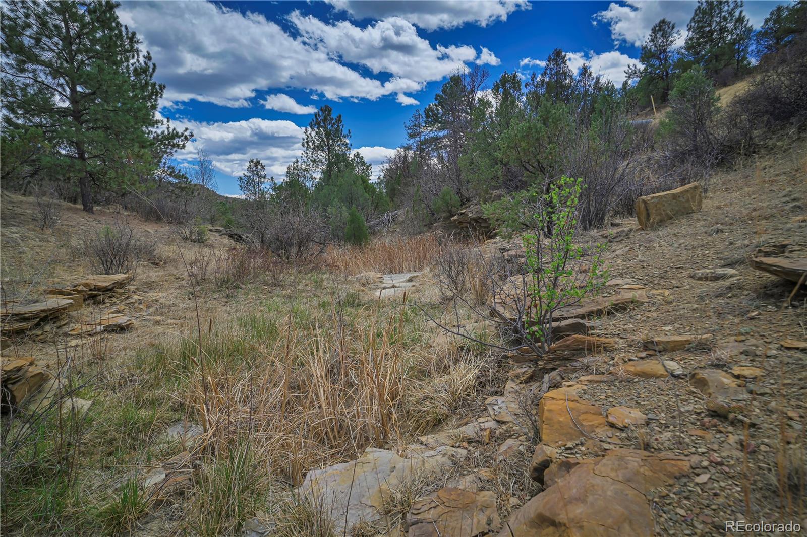 Primero Ranch Lot 45 Weston CO 81091