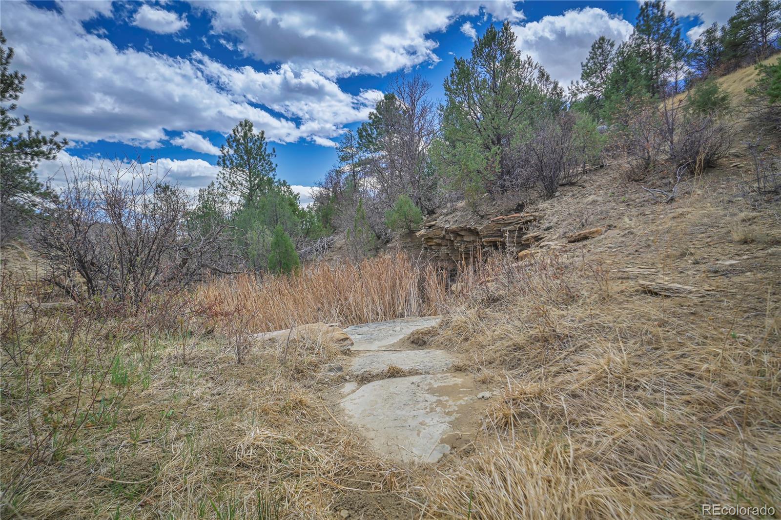 Primero Ranch Lot 45 Weston CO 81091